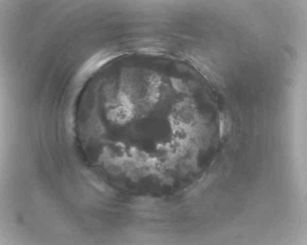 X0000115740339200911252004