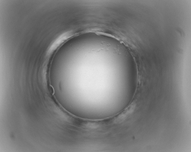 X0000115740341200911252004