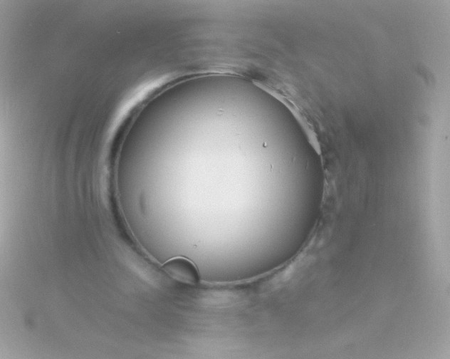 X0000115740342200911252004