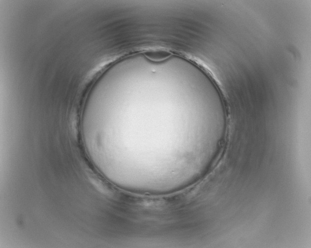 X0000115740345200911252004