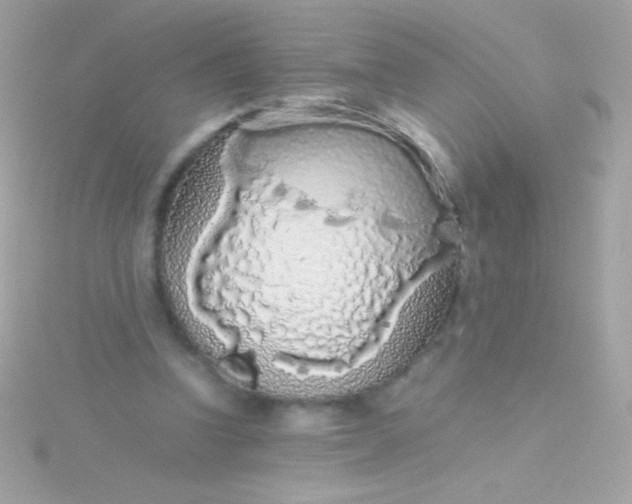 X0000115740346200911252004