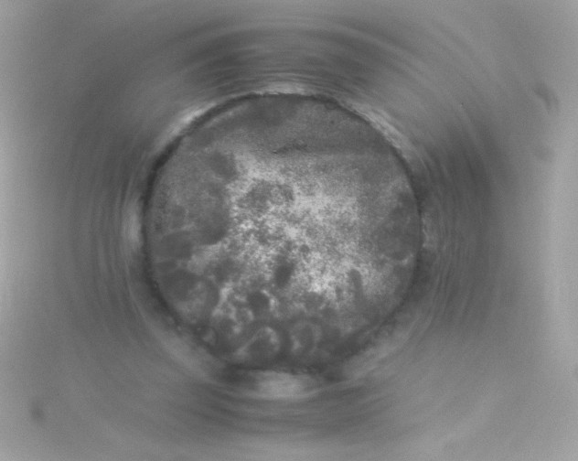 X0000115740347200911252004