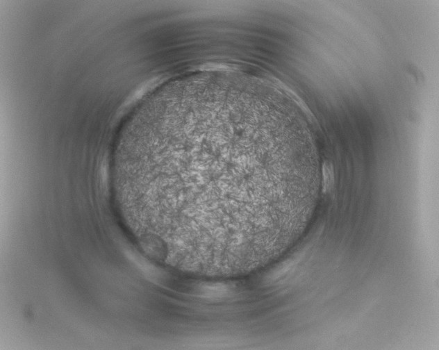 X0000115740349200911252004