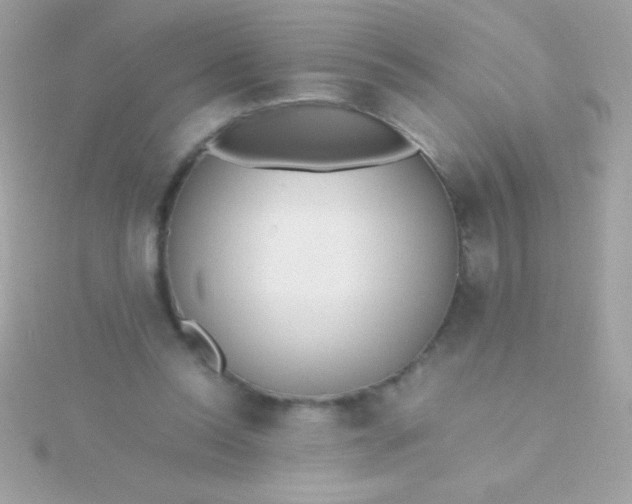 X0000115740350200911252004