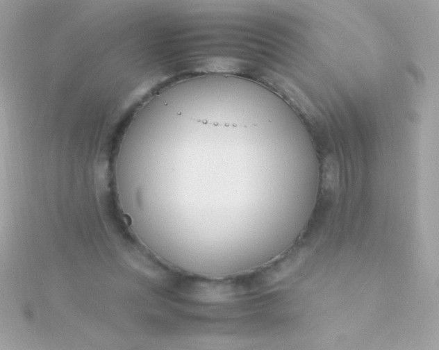 X0000115740351200911252004