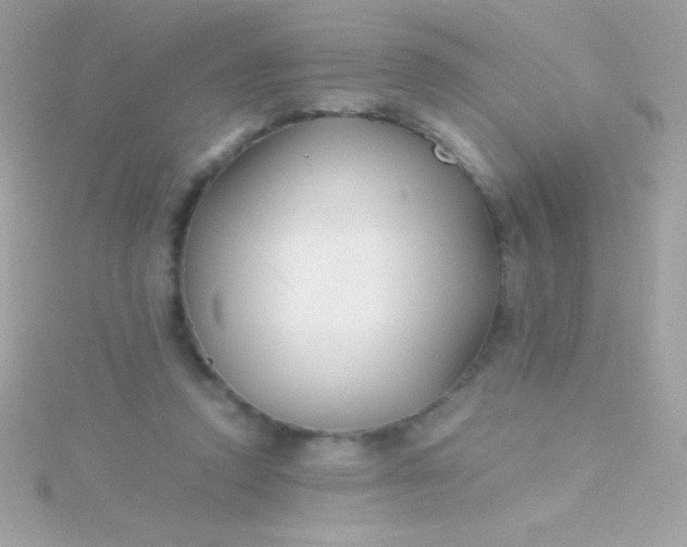 X0000115740354200911252004