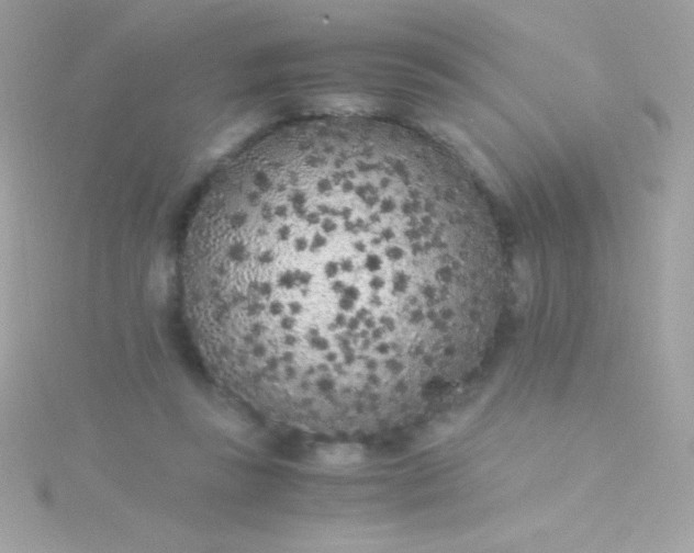 X0000115740355200911252004