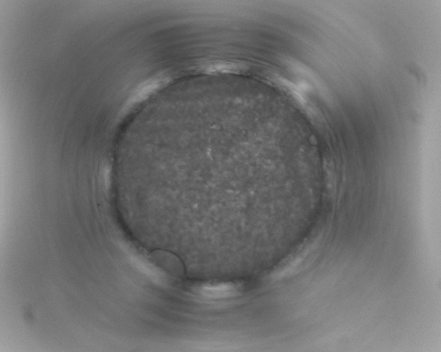 X0000115740357200911252004