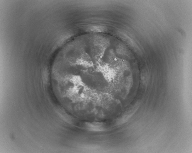 X0000115740359200911252005