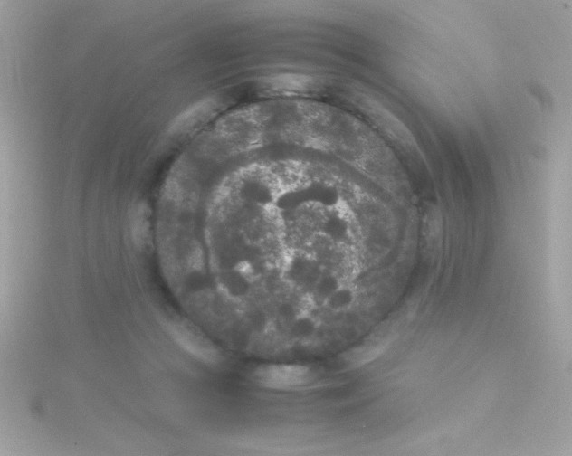 X0000115740361200911252005