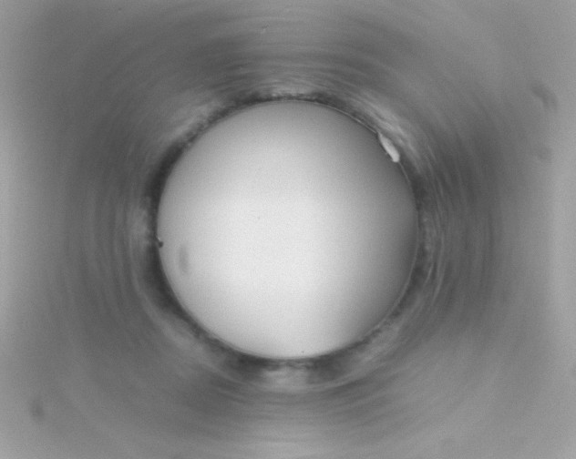 X0000115740362200911252005