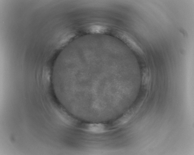 X0000115740363200911252005