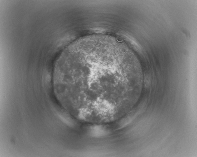 X0000115740365200911252005