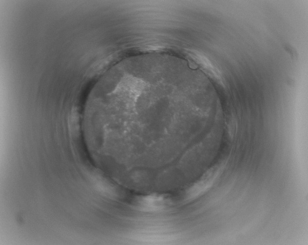 X0000115740366200911252005