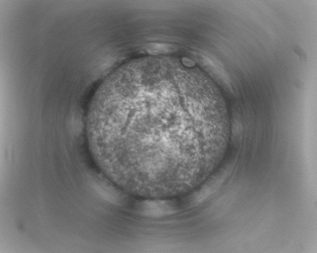 X0000115740367200911252005