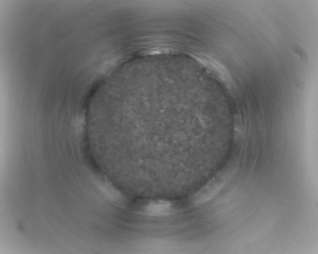 X0000115740369200911252005