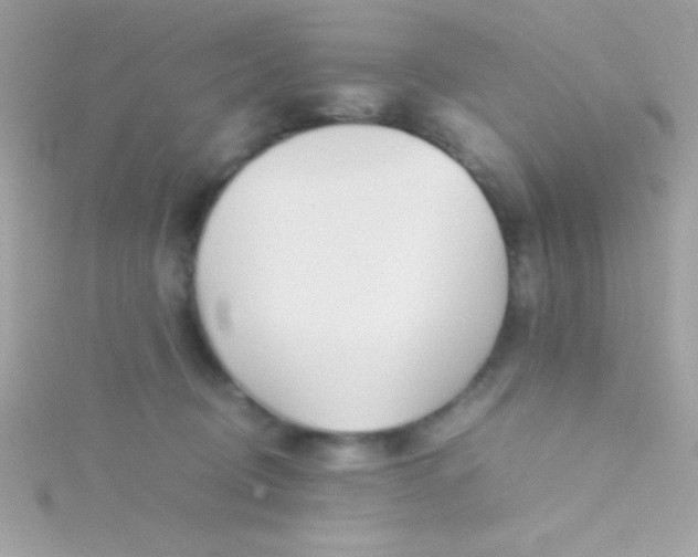 X0000115740370200911252005