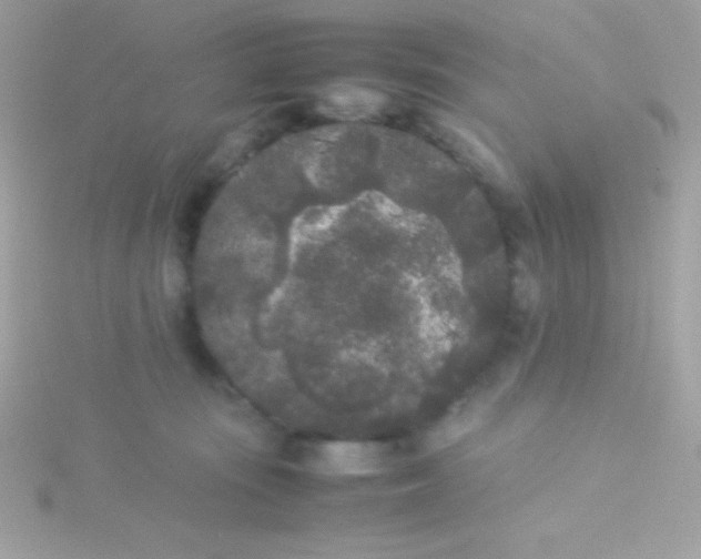 X0000115740371200911252005