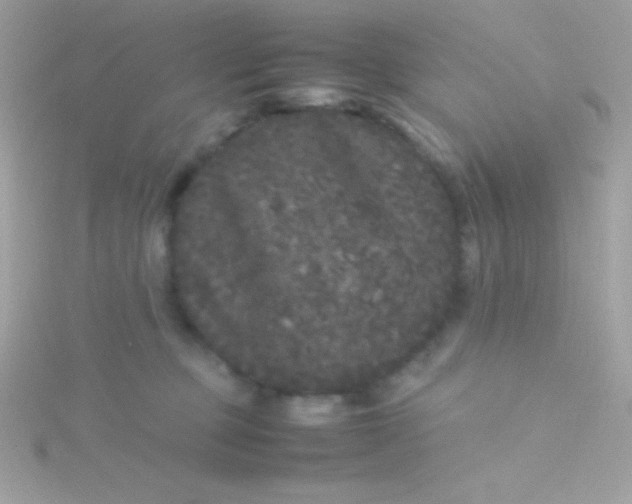 X0000115740373200911252005