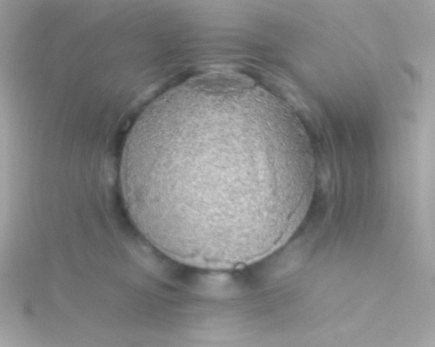 X0000115740374200911252005