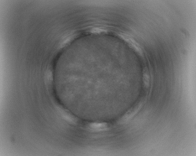 X0000115740375200911252005