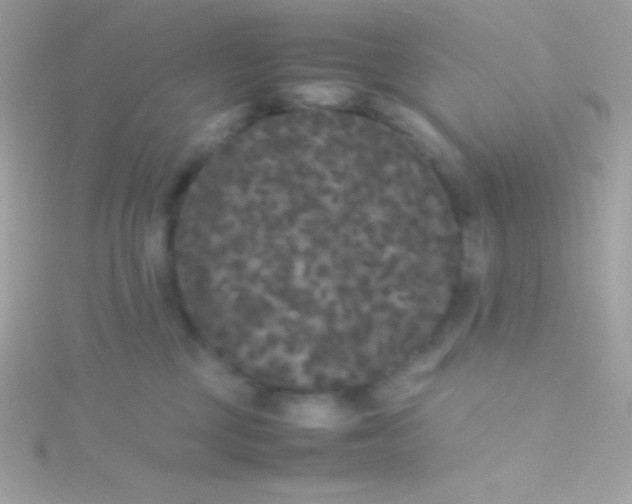 X0000115740377200911252005