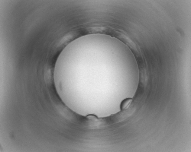 X0000115740378200911252005