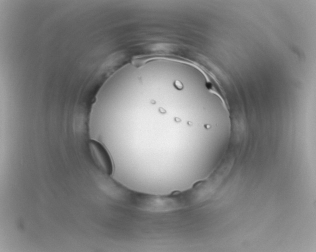 X0000115740379200911252005