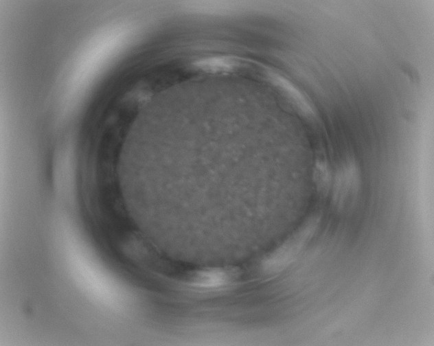 X0000115740381200911252005