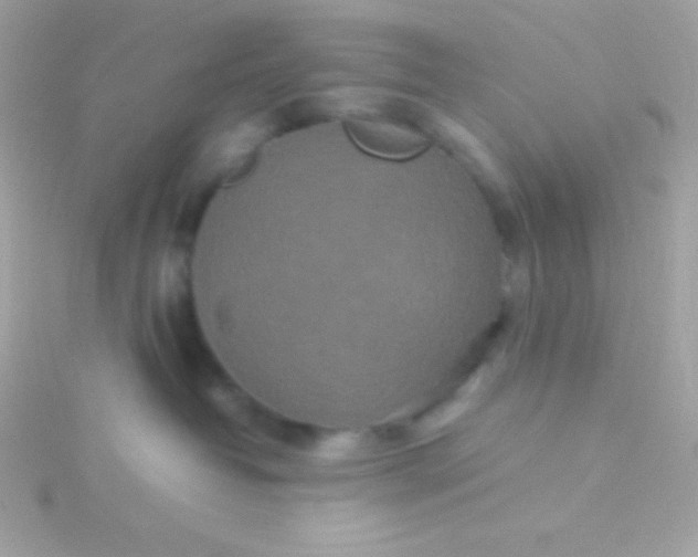 X0000115740382200911252005