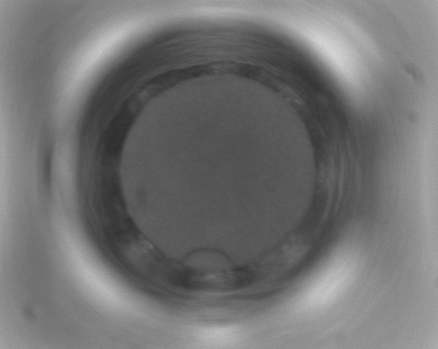 X0000115740383200911252005