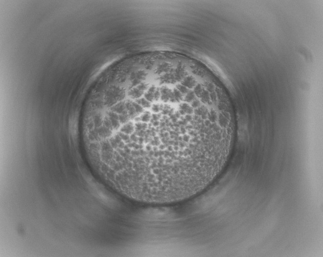 X0000115740386200911252004