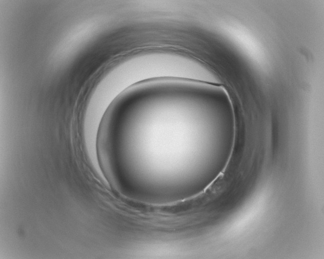 X0000115740387200911252004