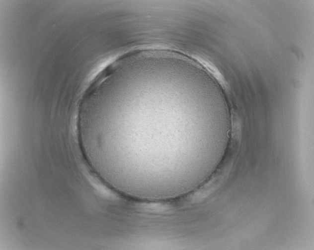 X0000115740389200911252004