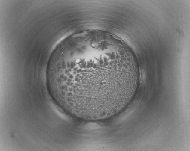 X0000115740390200911252004