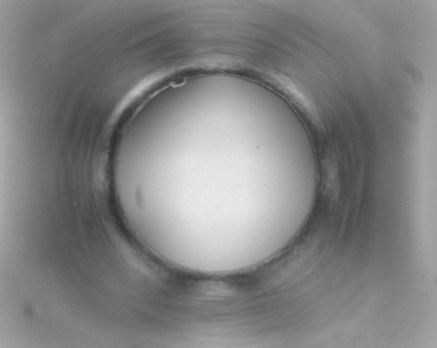 X0000115740392200911252004