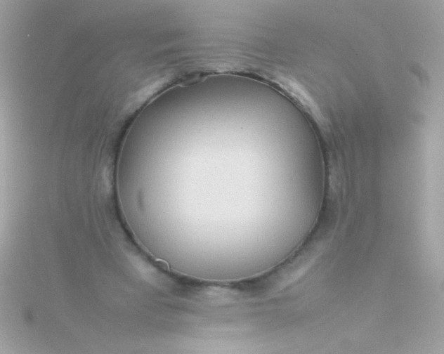 X0000115740393200911252004