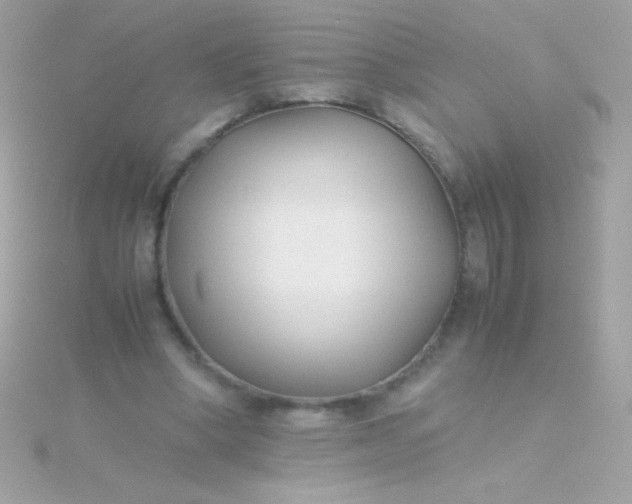 X0000115740394200911252004