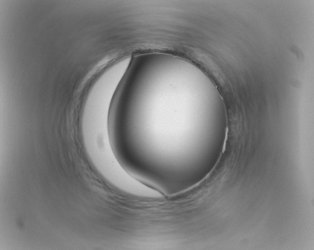 X0000115740395200911252004