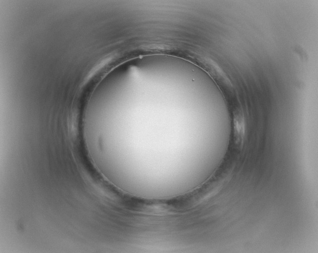 X0000115740396200911252004