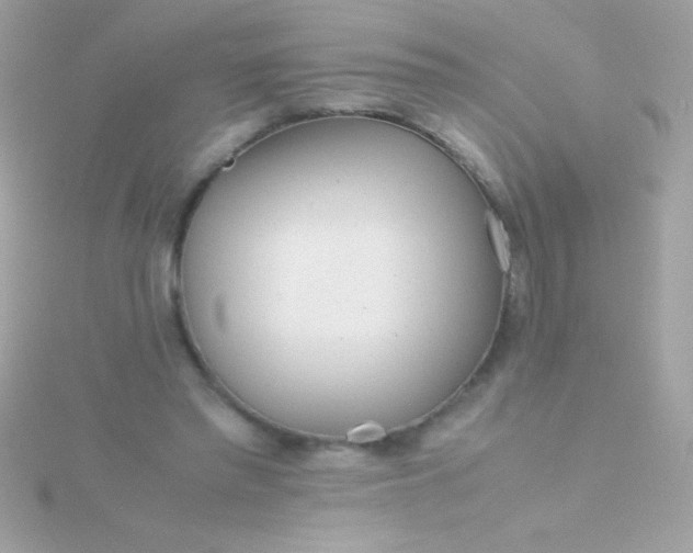 X0000115740397200911252004