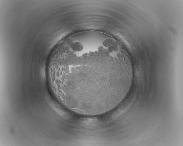 X0000115740398200911252004