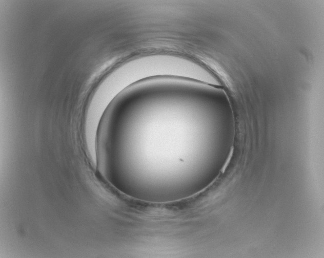 X0000115740399200911252004