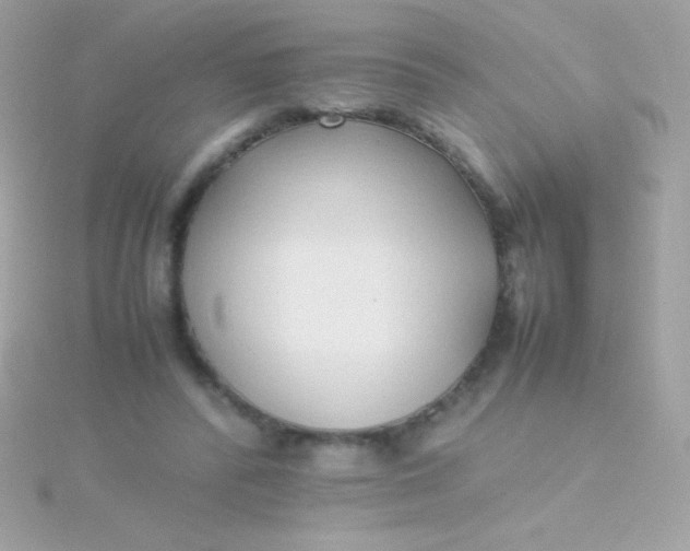 X0000115740400200911252004