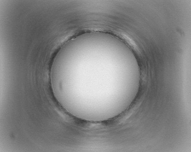 X0000115740401200911252004