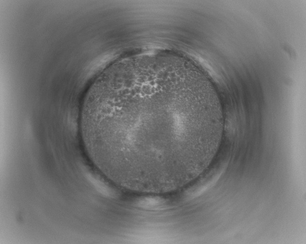 X0000115740402200911252004