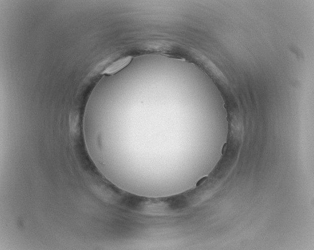 X0000115740403200911252004