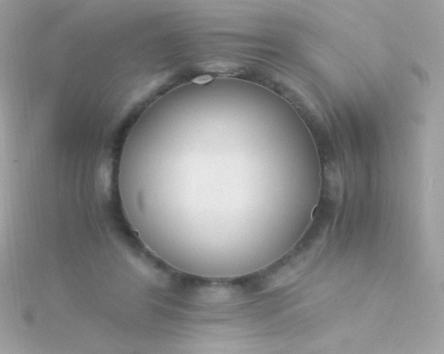 X0000115740404200911252004