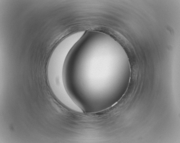 X0000115740405200911252004