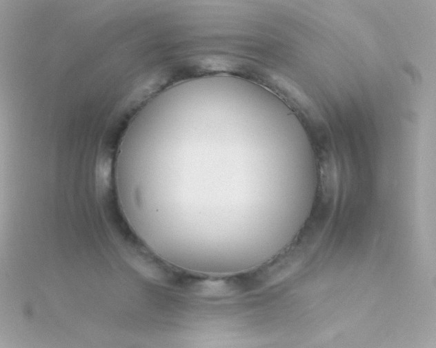 X0000115740406200911252004